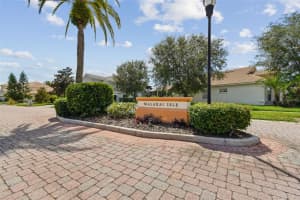18005 MALAKAI ISLE DRIVE, TAMPA, FL 33647 - MLS#MFRTB8420628