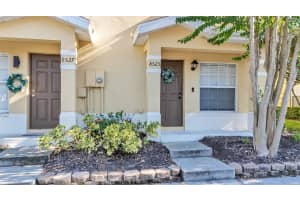 8525 TRAIL WIND DRIVE, TAMPA, FL 33647 - MLS#MFRTB8420633