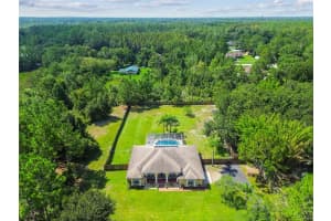 26252 PHEASANT RUN, WESLEY CHAPEL, FL 33544 Sold 10/08/25