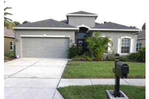 23812 Plantation Palms Blvd, LAND O LAKES