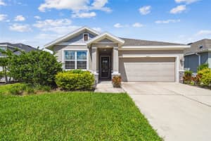 MLS# MFRTB8420665, Odessa, Florida 33556