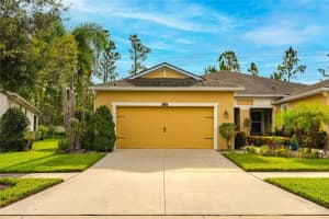 11714 Wrought Pine Loop, RIVERVIEW