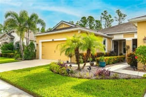 11714 WROUGHT PINE LOOP, RIVERVIEW, FL 33569 - MLS#MFRTB8420671