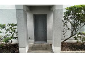 7366 E Bank Dr, TAMPA