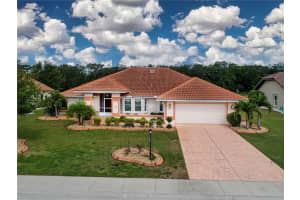 2039 Berry Roberts Dr, SUN CITY CENTER