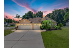 11544 Arlhuna Way, DADE CITY