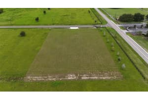 14964 CRIMSON OAKS TR, DADE CITY, FL 33525 - MLS#MFRTB8420728