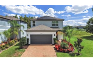 19253 Old Spanish Rd, TAMPA