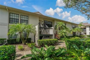 3358 MERMOOR DRIVE, PALM HARBOR, FL 34685 - MLS#MFRTB8420755
