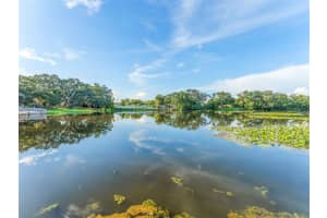 1005 SAMY DRIVE, TAMPA, FL 33613 - MLS#MFRTB8420761