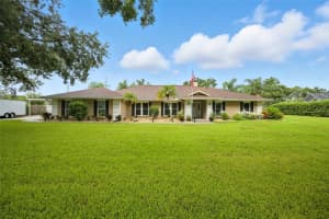 10502 LAKE WILLIAMS DRIVE, ODESSA, FL 33556 - MLS#MFRTB8420765