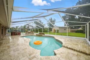 10502 LAKE WILLIAMS DRIVE, ODESSA, FL 33556 - MLS#MFRTB8420765