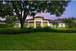 8515 LOCH DRIVE, ODESSA, FL 33556 - MLS#MFRTB8420770