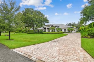 8515 LOCH DRIVE, ODESSA, FL 33556 - MLS#MFRTB8420770