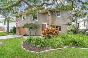1011 POINTE ALEXIS DRIVE, TARPON SPRINGS, FL 34689 - MLS#MFRTB8420782