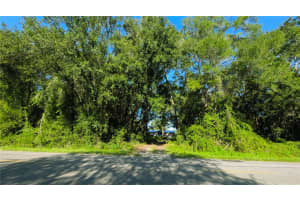 14850 119TH COURT, DUNNELLON, FL 34432 - MLS#MFRTB8420800