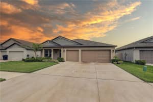 15217 ZIRCON RED DRIVE, WIMAUMA, FL 33598 - MLS#MFRTB8420807