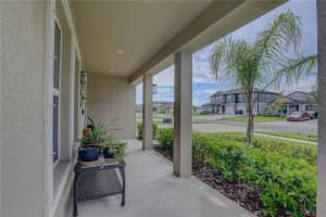15217 ZIRCON RED DRIVE, WIMAUMA, FL 33598 - MLS#MFRTB8420807