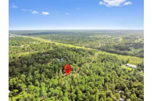 SALOME ST, BROOKSVILLE, FL 34614 - MLS#MFRTB8420830