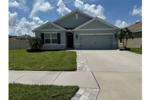 8560 BOWER BASS CIRCLE, WESLEY CHAPEL, FL 33545 - MLS#MFRTB8420837