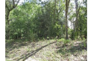 8339 CREEK WAY, CITRUS SPRINGS, FL 34434 Sold 11/13/25