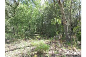 8339 CREEK WAY, CITRUS SPRINGS, FL 34434 Sold 11/13/25