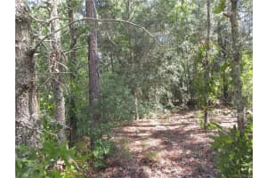 8339 CREEK WAY, CITRUS SPRINGS, FL 34434 Sold 11/13/25