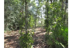 8339 CREEK WAY, CITRUS SPRINGS, FL 34434 Sold 11/13/25