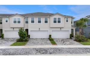 19431 Monarch Wind Way, LUTZ