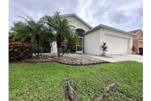 12633 Early Run Ln, RIVERVIEW