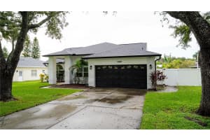 23443 PINE LAKE STREET, LAND O LAKES, FL 34639 - MLS#MFRTB8420883