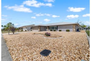 615 ALLEGHENY DRIVE, SUN CITY CENTER, FL 33573 - MLS#MFRTB8420884