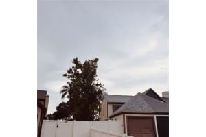 , TAMPA