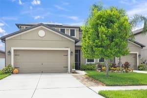13405 White Sapphire Rd, RIVERVIEW