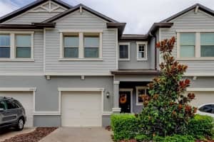 21851 Lyonia Ln, LAND O LAKES