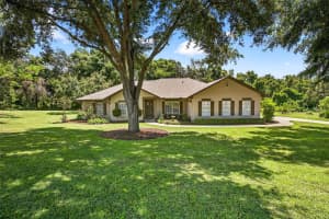 11240 GRANDVIEW DR, DADE CITY, FL 33525 - MLS#MFRTB8420919