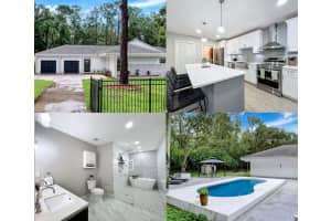 1566 Woodfield Ct, LUTZ