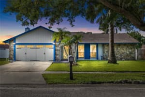6713 LEEWARD ISLE WAY, TAMPA, FL 33615 - MLS#MFRTB8420998