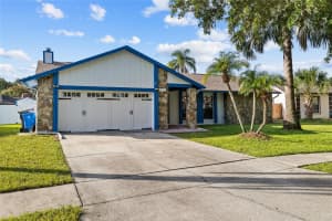 6713 LEEWARD ISLE WAY, TAMPA, FL 33615 - MLS#MFRTB8420998