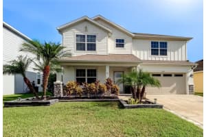 30943 Parrot Reef Ct, WESLEY CHAPEL