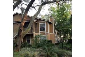14319 Hanging Moss Cir #101, TAMPA