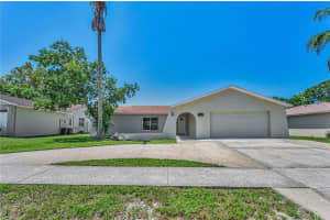 11121 PEPPERTREE LANE, PORT RICHEY, FL 34668 - MLS#MFRTB8421067