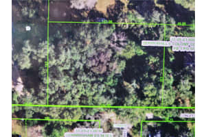 36795 CONLEY STREET, ZEPHYRHILLS, FL 33541 - MLS#MFRTB8421075