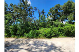 36795 CONLEY STREET, ZEPHYRHILLS, FL 33541 - MLS#MFRTB8421075