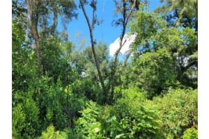 36795 CONLEY STREET, ZEPHYRHILLS, FL 33541 - MLS#MFRTB8421075