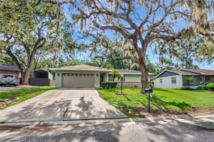2209 BOXWOOD WAY, BRANDON, FL 33511 - MLS#MFRTB8421087