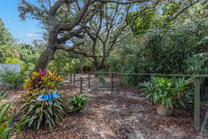 214 WOODLAND COURT, SAFETY HARBOR, FL 34695 - MLS#MFRTB8421154