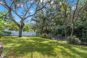 214 WOODLAND COURT, SAFETY HARBOR, FL 34695 - MLS#MFRTB8421154