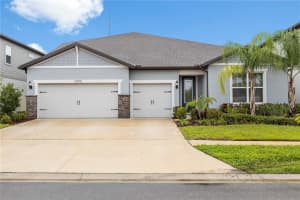 13075 Willow Grove Dr, RIVERVIEW