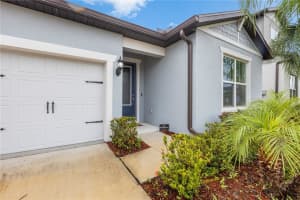 13075 WILLOW GROVE DRIVE, RIVERVIEW, FL 33579 - MLS#MFRTB8421160